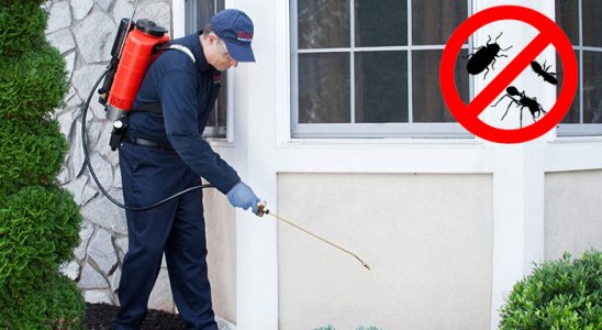 Özalp Hamam Böceği İlaçlama böcek ilaçlama ve haşere kontrolü — ilaclama-tr.com